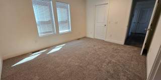 359 Lemon Drive Gallery 5
