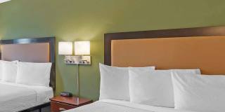 Detroit - Madison Heights Gallery 30