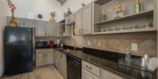 Waterford Park Gallery 5