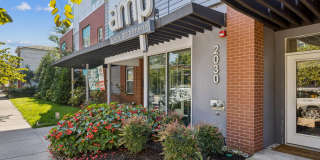 AMP Luxury Apartments Gallery 1