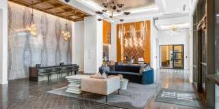 The Mav Gallery 14