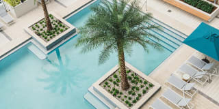 Mondrian on Lake Eola Gallery 20