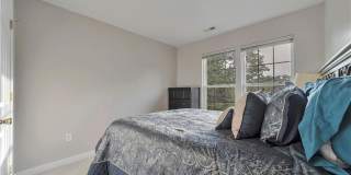 2545 Mountain Ash Circle Gallery 25
