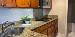 One Bedroom in Honolulu at Queens Villa Gallery 3