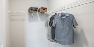 Monarch Gallery 8