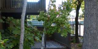Stunning Timberlake Lodge Condo in Quiet Arden-Arcade Community! Gallery 4