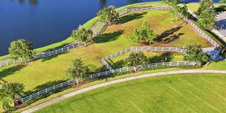 607 BLIND OAK Circle Gallery 38