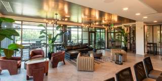 Carraway Village Gallery 16