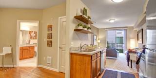 The Artiste Apartment Homes Gallery 4