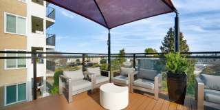 Arrive Magnolia Gallery 58