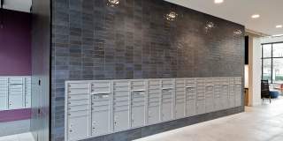 Verso Gallery 25