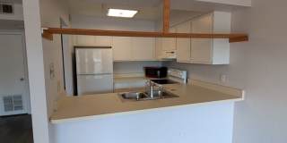 4342 Marchwood Gallery 7