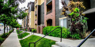 Citifront Gallery 15