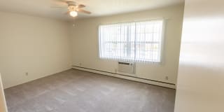 Lake of the Woods Gallery 30