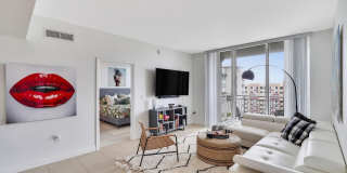 480 Hibiscus Street Gallery 4