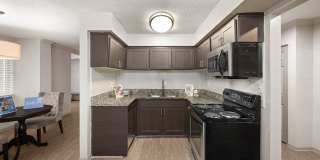 The Whitney Gallery 25