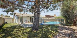 3 bed/2 bath Mesa home with a pool Gallery 30