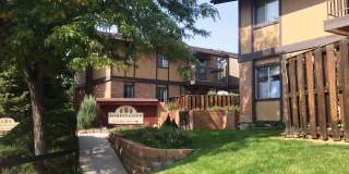 Forest Cove Gallery 1