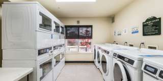 Pacific Apartments Gallery 12