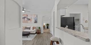 Desert Mirage Gallery 41