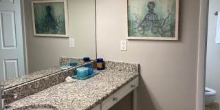 667 SUMMER Place Gallery 10