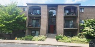 4509 N Hedgerow Drive Gallery 1