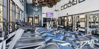 AMLI at Escena Gallery 5