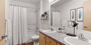 Sterling Heights Gallery 5