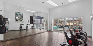 The Haven of Ann Arbor Gallery 13