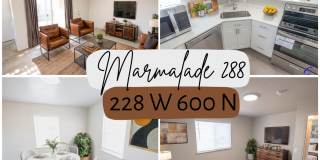 Marmalade 228 Gallery 1