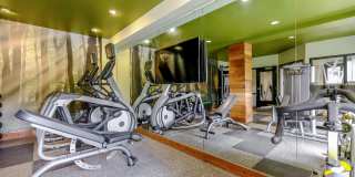 Elan Redmond Gallery 9