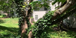Mountain View Gallery 22