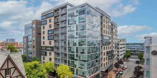 The Square Gallery 8