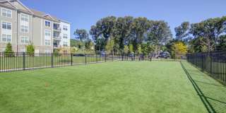 Molly Brook on Belmont Gallery 32