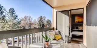 Sage at Panorama Gallery 5