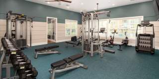 The Alexandria Gallery 20