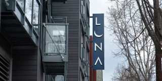 Luna Gallery 40