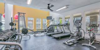 Plum Tree Apartments Gallery 26