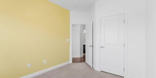43509 APPLE ORCHARD Square Gallery 33