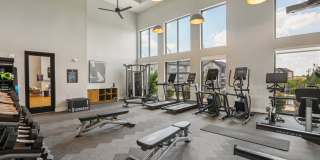 Bluestem at Loyola Gallery 20