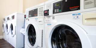 Coffey Creek Gallery 20