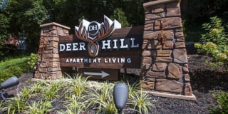 Deer Hill Gallery 68