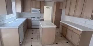 Spacious 4-Bedroom Home with Downstairs Bedroom & Brand-New Carpet Gallery 10