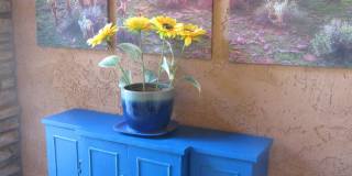 12467 W ALYSSA Lane Gallery 5