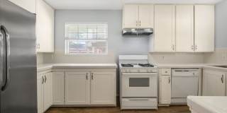 Modernized 3 Bedroom Home Near Mueller ~ Huge Backyard & Deck Gallery 31