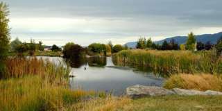 3143 Cattail Street Gallery 8