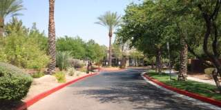 704 Peachy Canyon Circle Gallery 39