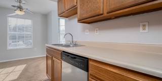 Steeplechase Gallery 18