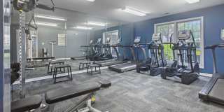 Hollis 7601 Gallery 9