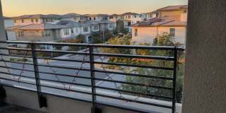 Dublin Hyde Park Modern Living Single Level Condo 4 Bed / 2 Bath, Amenities, Close to 580 Gallery 8